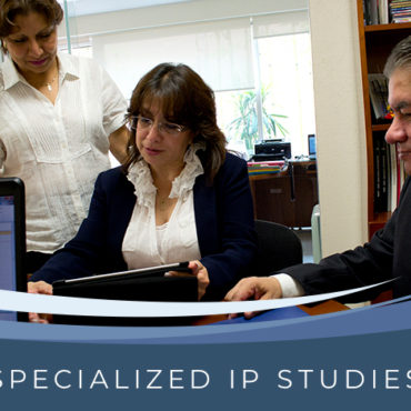 Specialized IP Studies